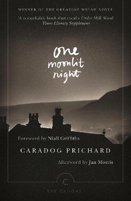 One Moonlit Night bookcover