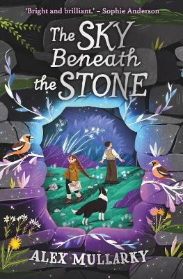 The Sky Beneath the Stone bookcover