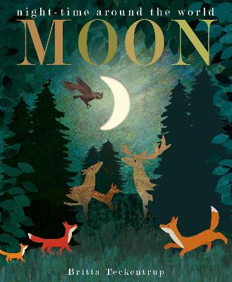 Moon: night-time around the world bookcover