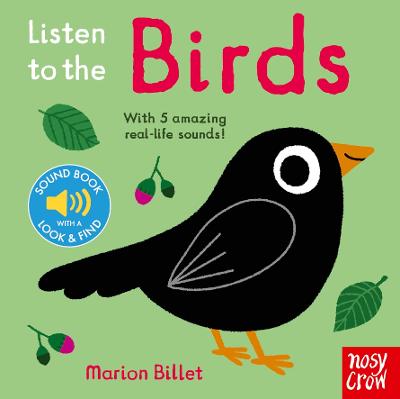Listen to the Birds bookcover