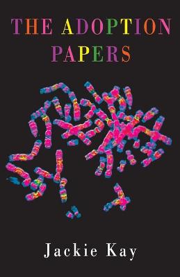 The Adoption Papers bookcover