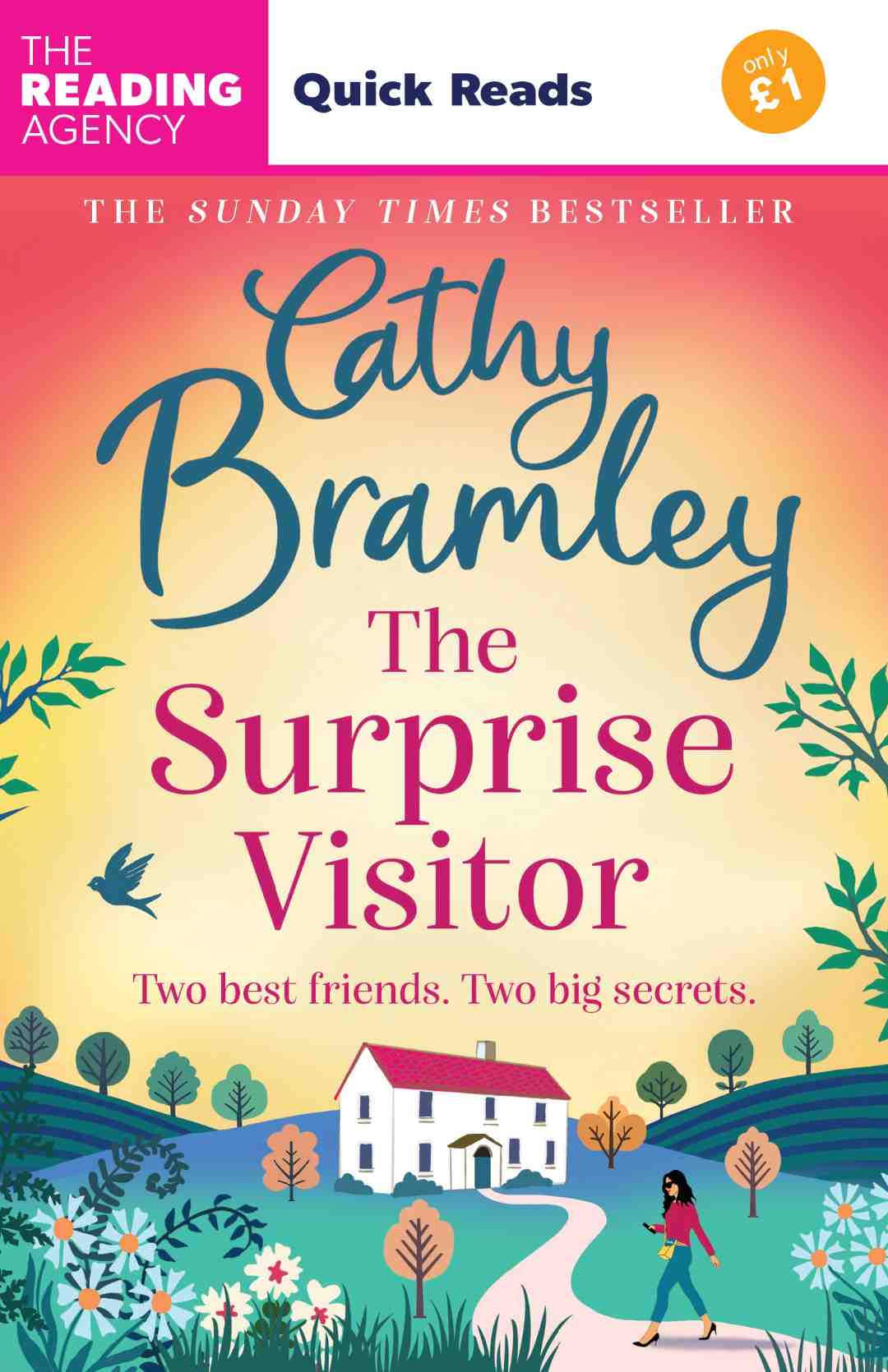 The Surprise Visitor bookcover